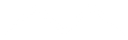 Million Dollar Collar